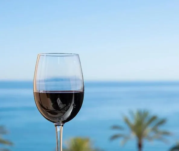 Cibeles...estudio En El Paseo Maritimo....wifi *